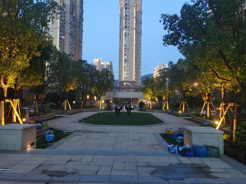 1658738608750886.jpg IMG_20210617_191946.jpg